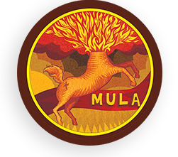 Mula (IPA)